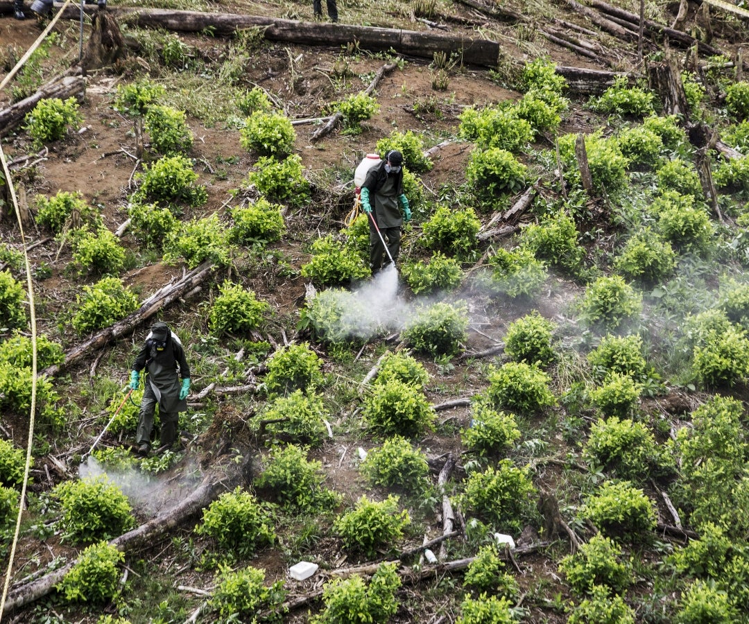 Colombia es el mayor productor de drogas de acuerdo con un informe realizado por la ONU