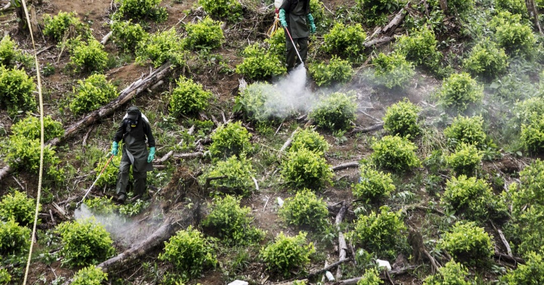 Fiscales de Brasil presentan una demanda para prohibir el glifosato, el herbicida más vendido