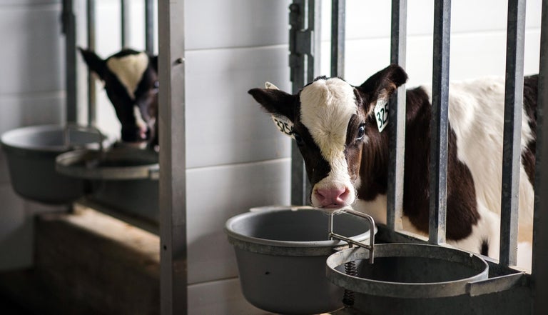 PRECIO BASE DEL LITRO DE LECHE PAGADO AL PRODUCTOR AUMENTÓ 3,54% A PARTIR DE MARZO PRECIO BASE DEL LITRO DE LECHE PAGADO AL PRODUCTOR AUMENTÓ 3,54% A PARTIR DE MARZO