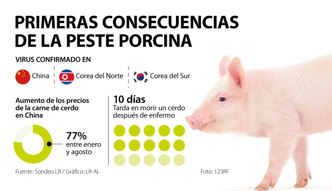 AgroWeb_Marranos_620