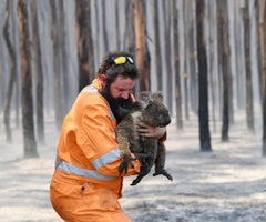 2020-01-07T000000Z_1831872931_RC2TAE94MSRU_RTRMADP_3_AUSTRALIA-BUSHFIRES (1)