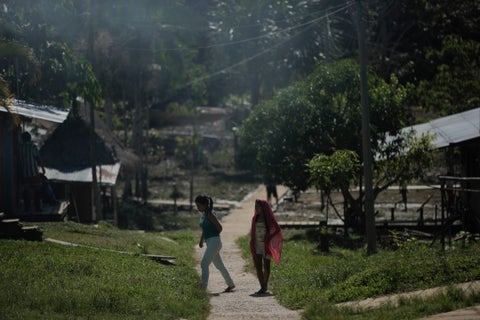 Amazonas AL