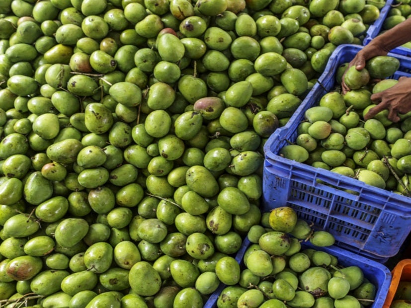 La posibilidad de exportar frutas deshidratadas sienta las bases para la  cadena de valor de snacks saludables en El Salvador