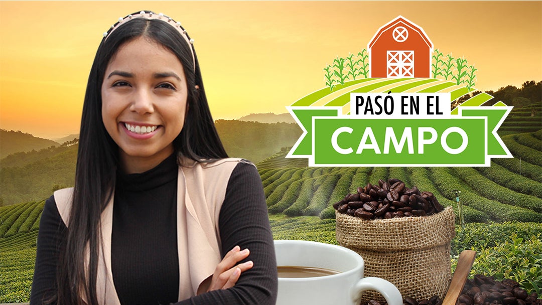 pasoenelcampo 1080x620