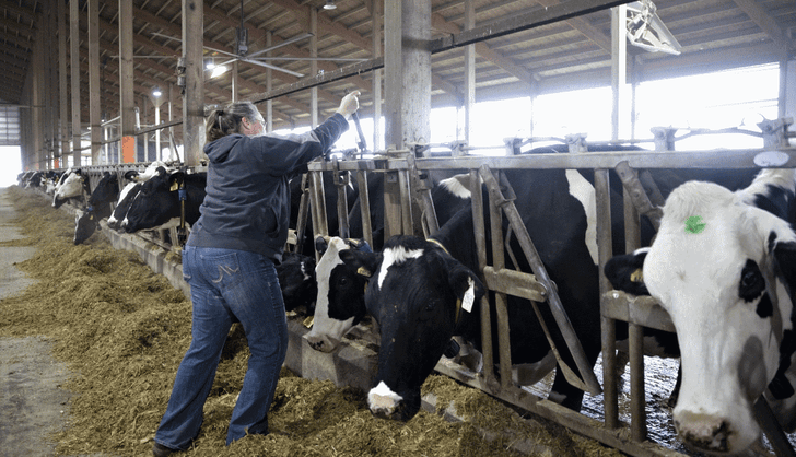 Tras el aumento desmedido del impuesto predial, sector ganadero del país se asfixia | Agronegocios.co