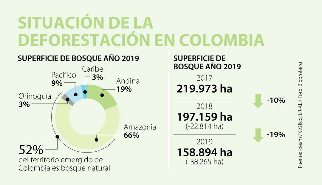 La deforestación de bosques y selvas nacionales se lleva casi el área de  Bogotá cada año