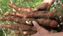 WhatsApp Image 2020-09-29 at 12.02.37 PM