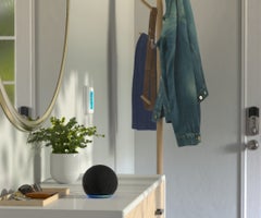 WhatsApp Image 2020-11-13 at 12.37.13 PM