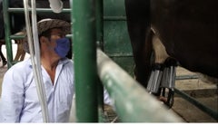 Producción de leche 3