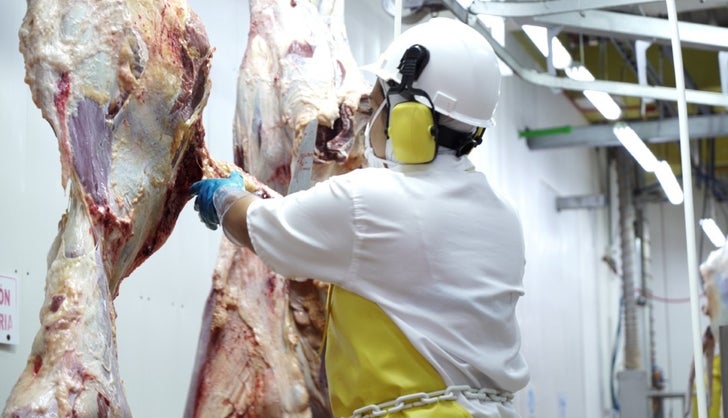 Primeras exportaciones de carne bovina a China serían en primer trimestre  de 2024 | Agronegocios.co