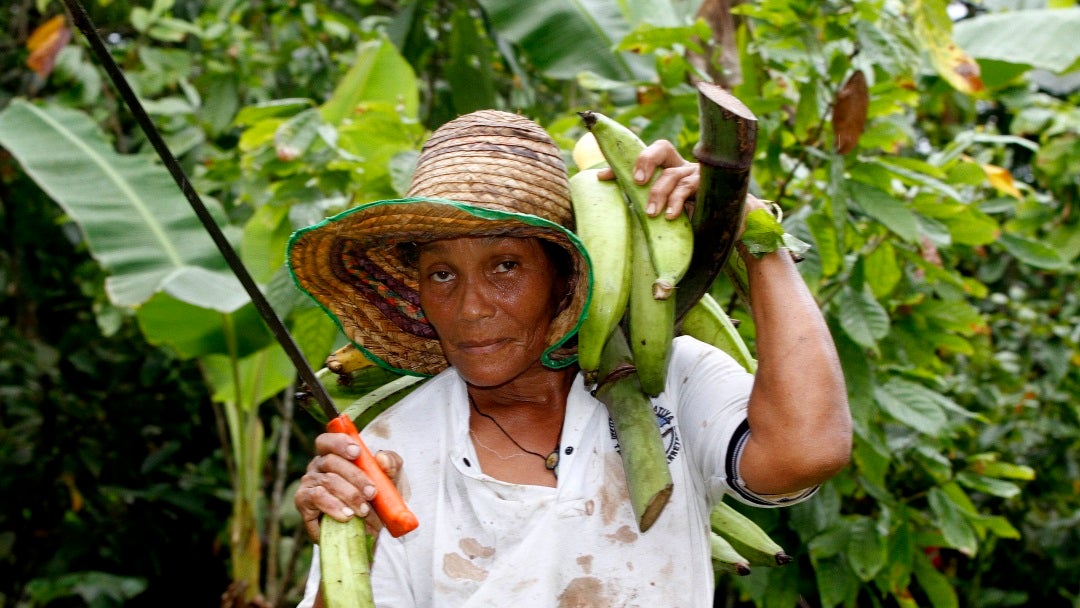 Mujeres rurales