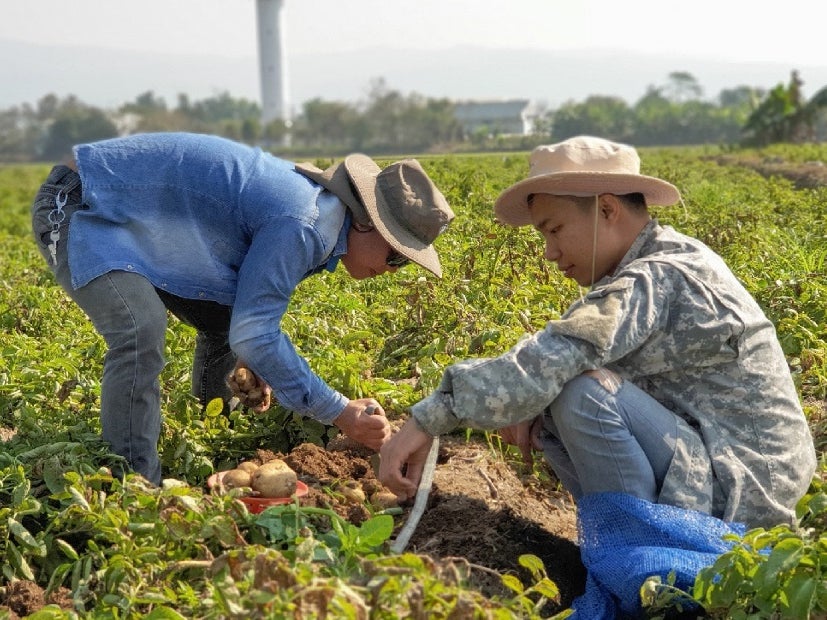 El estado mundial de la agricultura y la alimentación 2021: Lograr