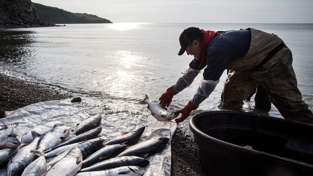 Pescador de salmón. Foto: Bloomberg