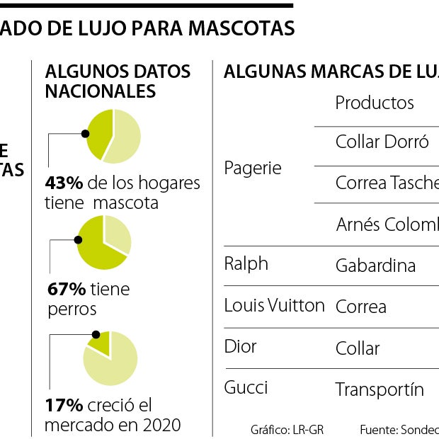 Accesorios de lujo para mascotas: Gucci, Dior, Prada, Louis Vuitton o  Versace firman los complementos más fashionistas