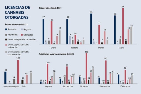 asuntos_cannabis_p12-13_720