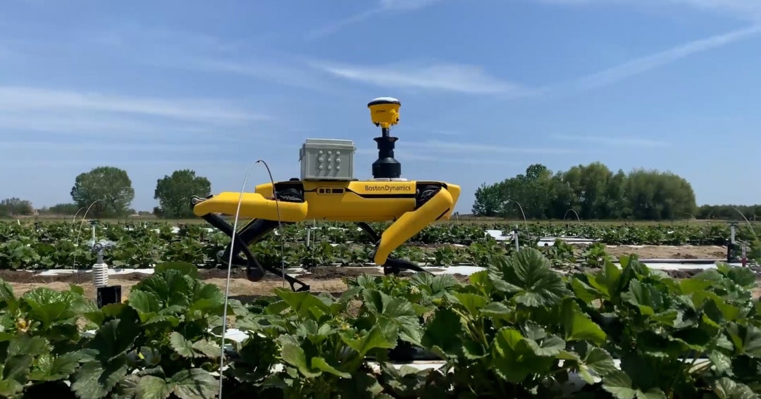Crean y lanzan un robot agrícola capaz de hacer pruebas de campos de ...
