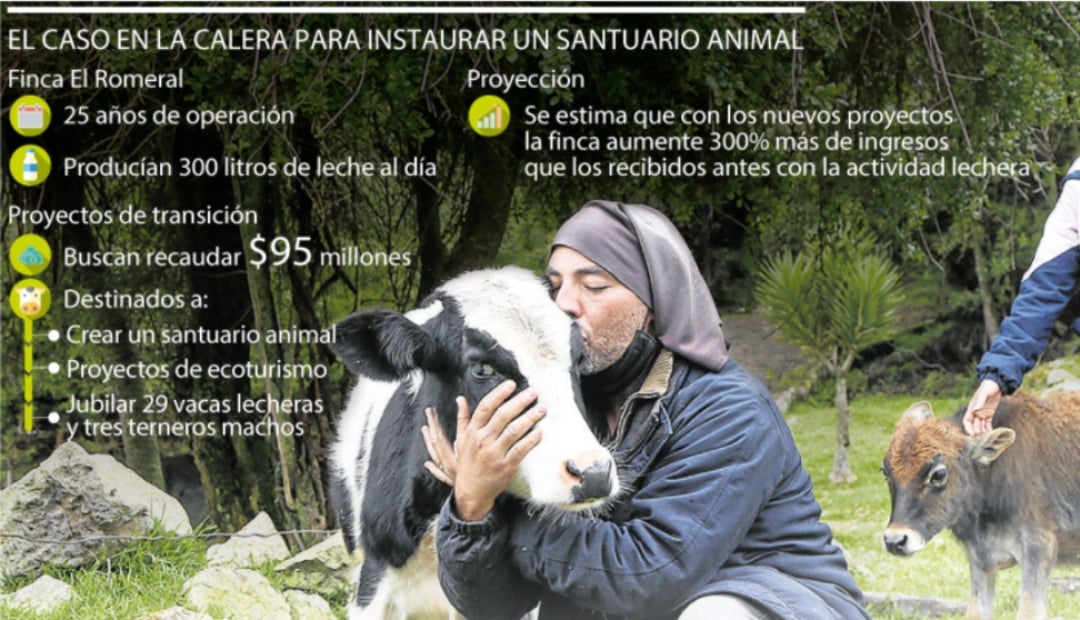 AGRO_CALERA_P12 (2)