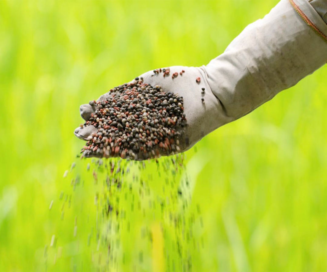 fertilizantes (1)