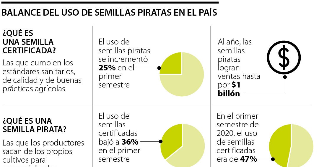 Use of pirated seeds in crops increased 25% and sales reach $ 1 billion a year