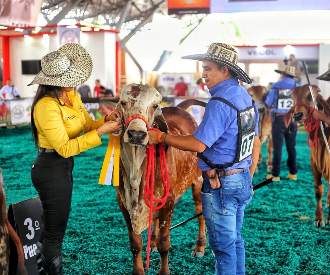La feria tendrá la participación de invitados nacionales e internacionales