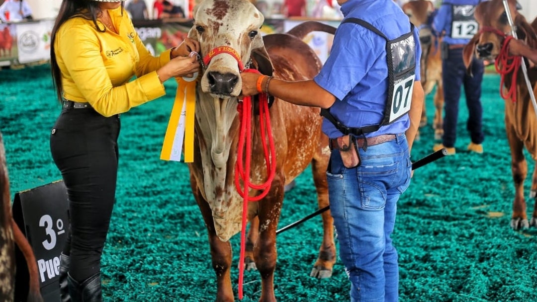 La feria tendrá la participación de invitados nacionales e internacionales