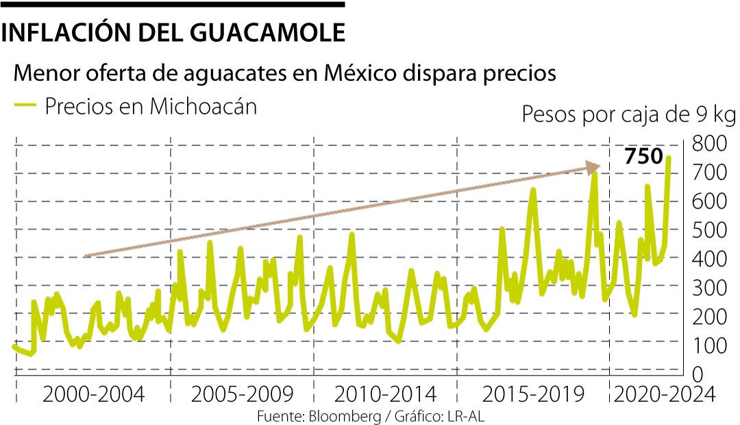 Precio del aguacate se dispara al nivel más alto después de 24 años sin