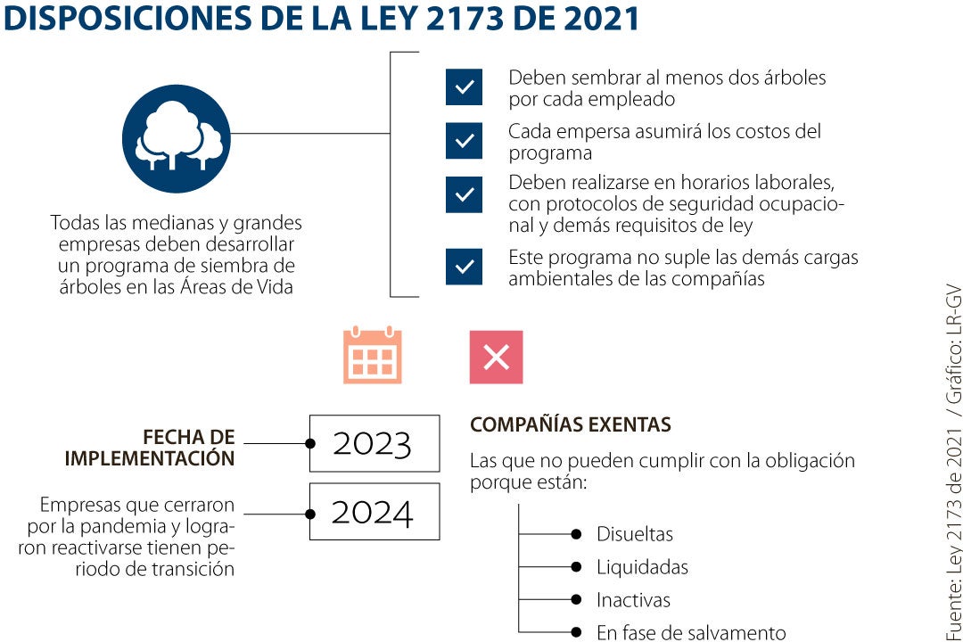 Desde 2023, las medianas y grandes empresas estarán obligadas a sembrar  árboles