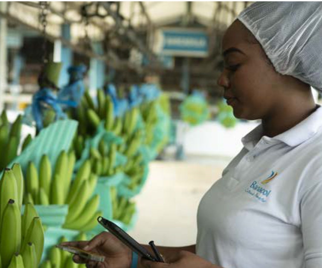 Informe de sostenibilidad - GreenLand