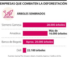 AnclaSostenibilidad_Deforestacion_Web