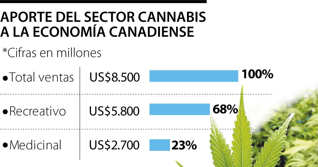 Good profits, the cannabis trade gave Canada over $ 35,000 million