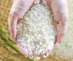 Producción de arroz
