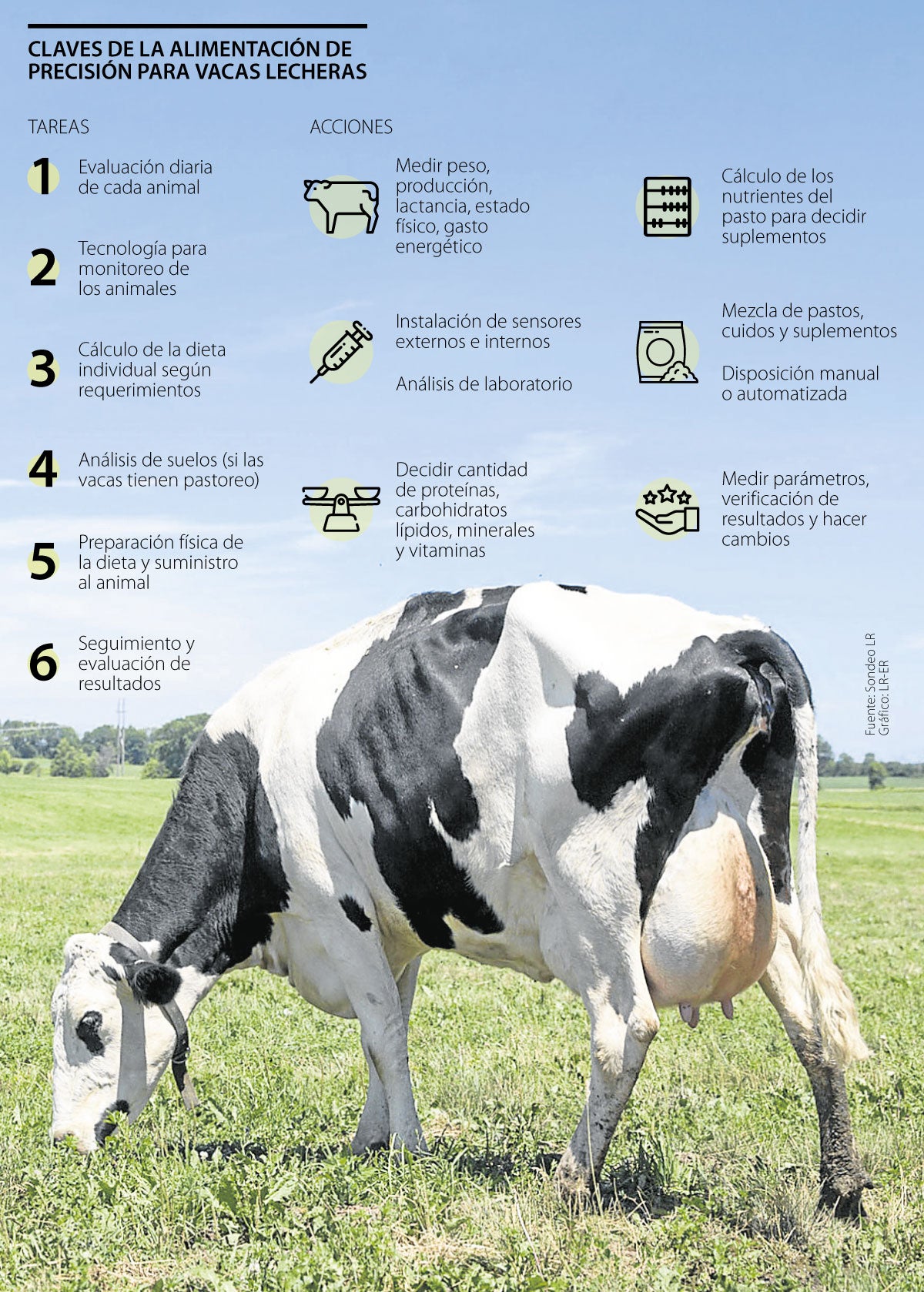 las ventajas de hacer nutrición de precisión: tecnología al servicio de la  ganadería