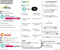 Esp_1000-EMPRESAS_Avances-y-metas_p5