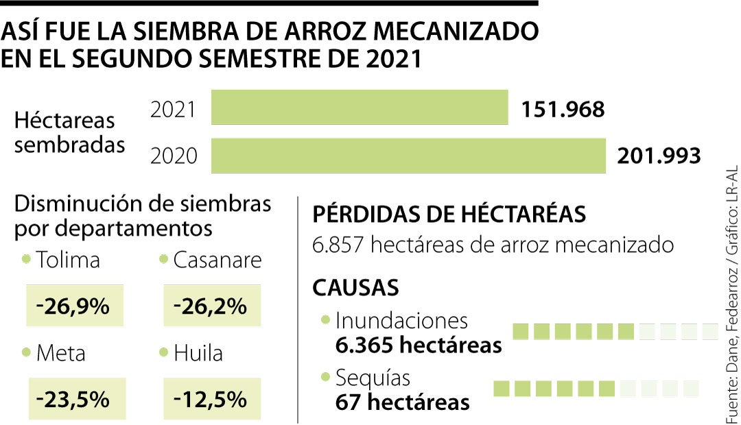 Web_Eco_SiembraArroz_620