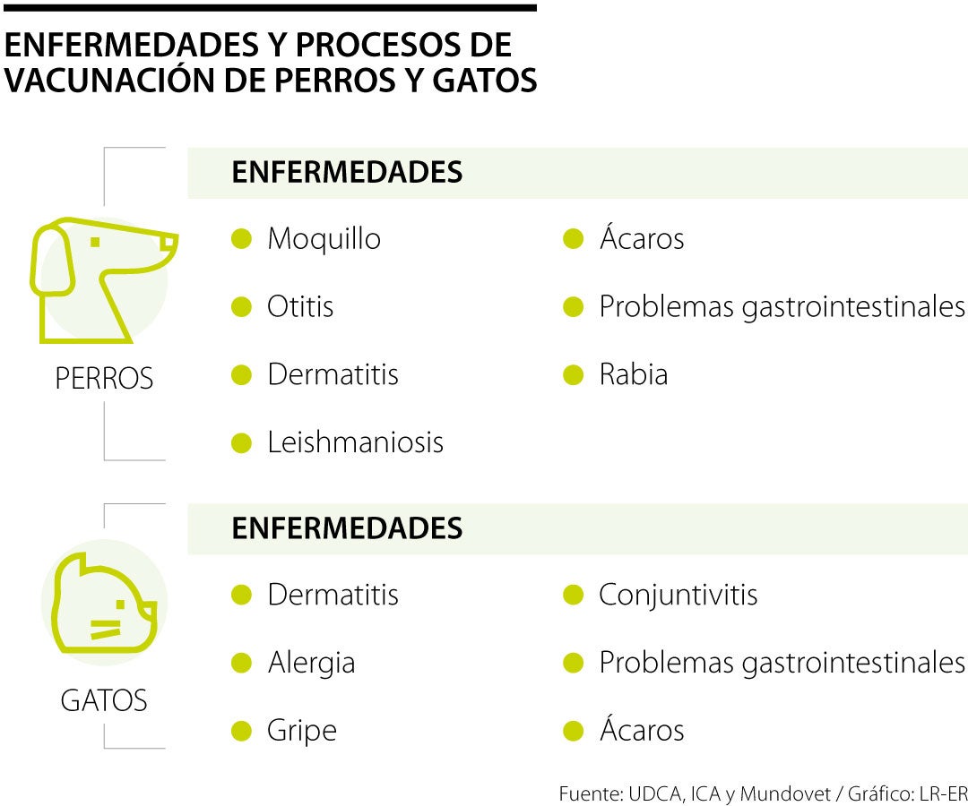 Enfermedades Mascotas