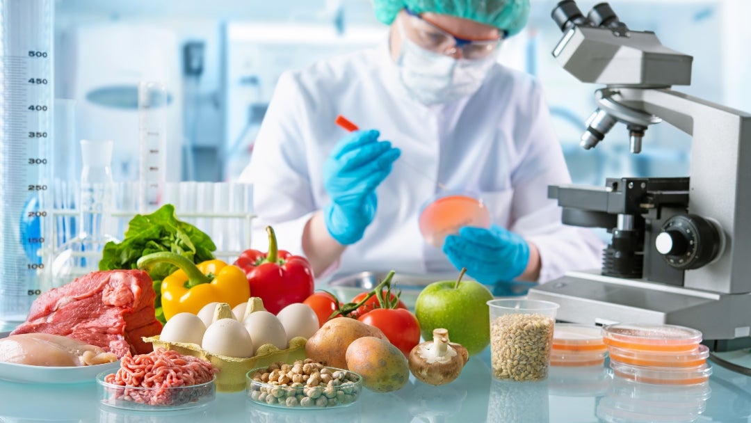 Food quality control expert inspecting specimens of groceries in the laboratory