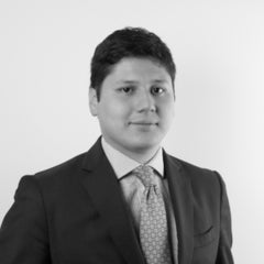 Juan José Goyeneche Carrera, Análisis legal, judicial y el impacto de