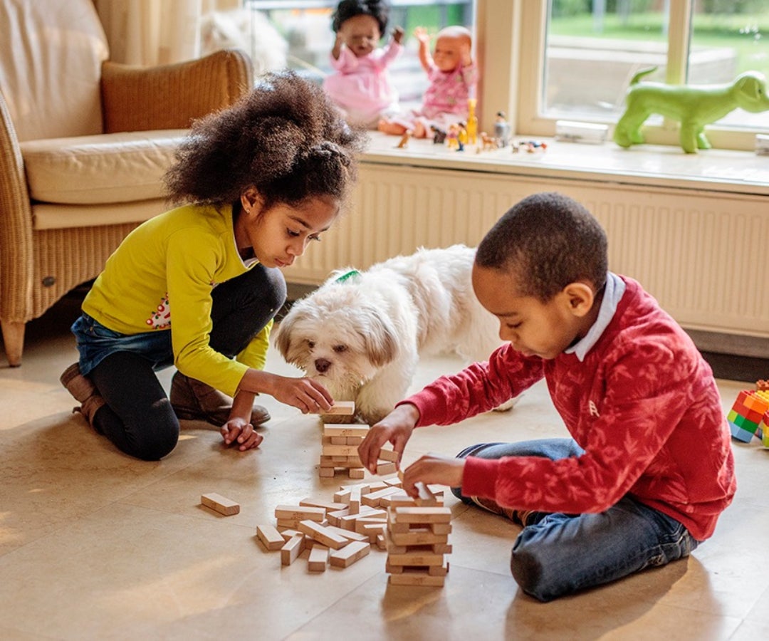 Mascotas - MSD Salud Animal