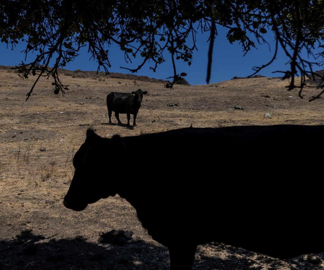 Cambio climático - Reuters