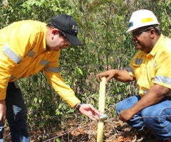 galeria-bosque-seco-01