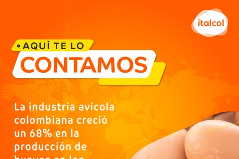 italco AL