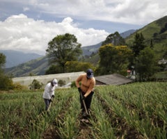 Bancóldex sigue impulsando el desarrollo de empresas rurales