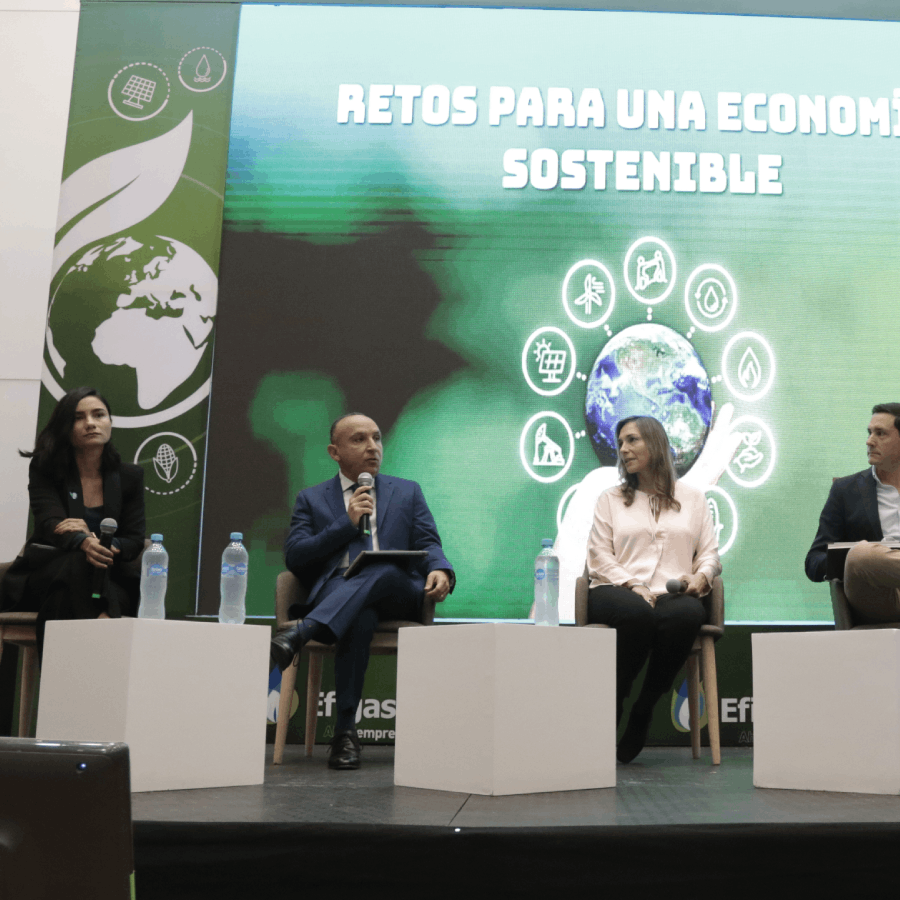 "La sostenibilidad de las organizaciones debe estar respaldada por