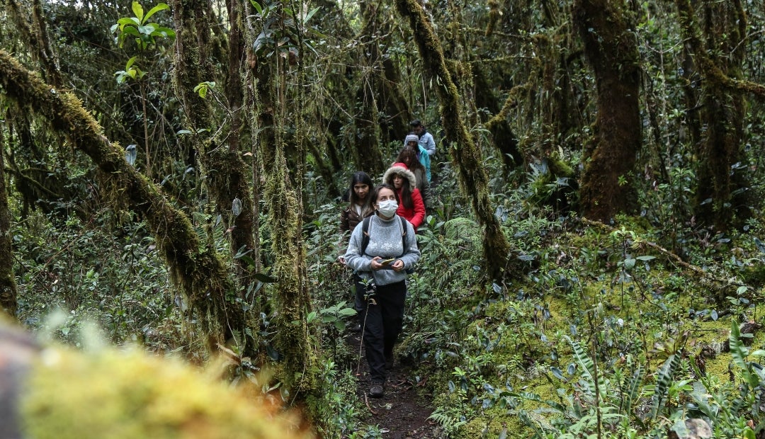 Programa Páramos Y Bosques Ayudó A La Conservación De 505.000 Hectáreas ...