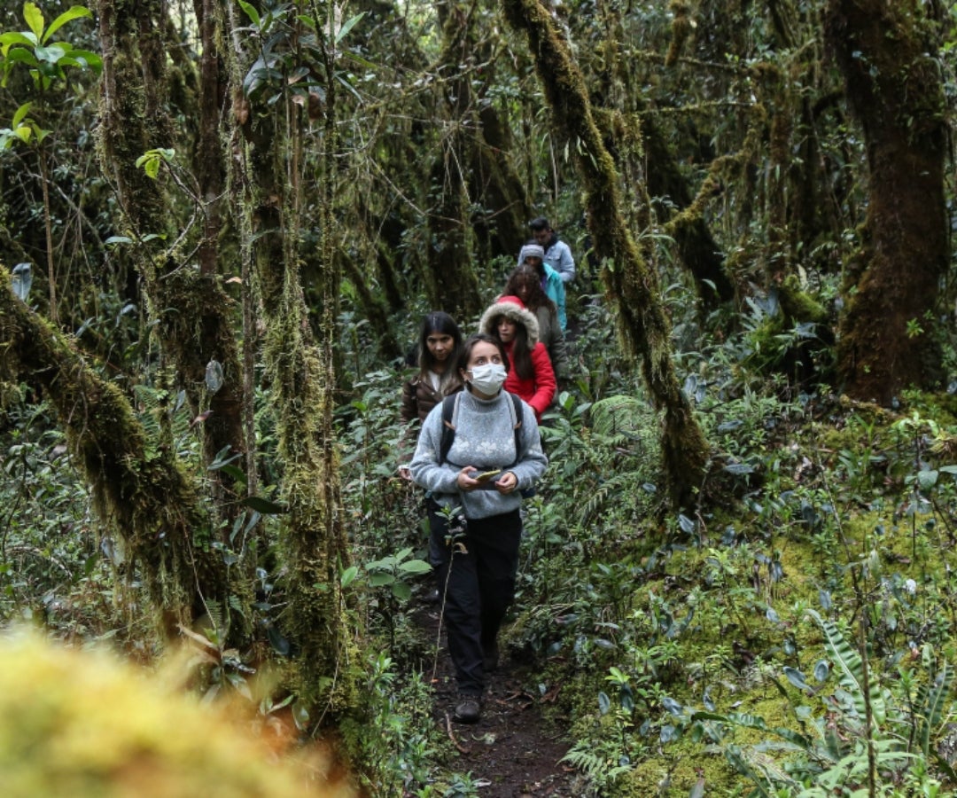 Bosques-Colprensa