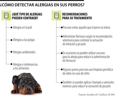 cuanto cuesta una prueba de alergia alimentaria para perros