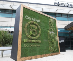Certificación B Corp Baileys / Diageo