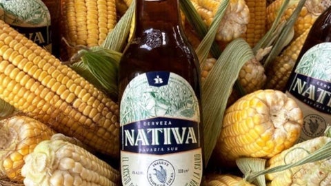 Cerveza Nativa Sur-Bavaria