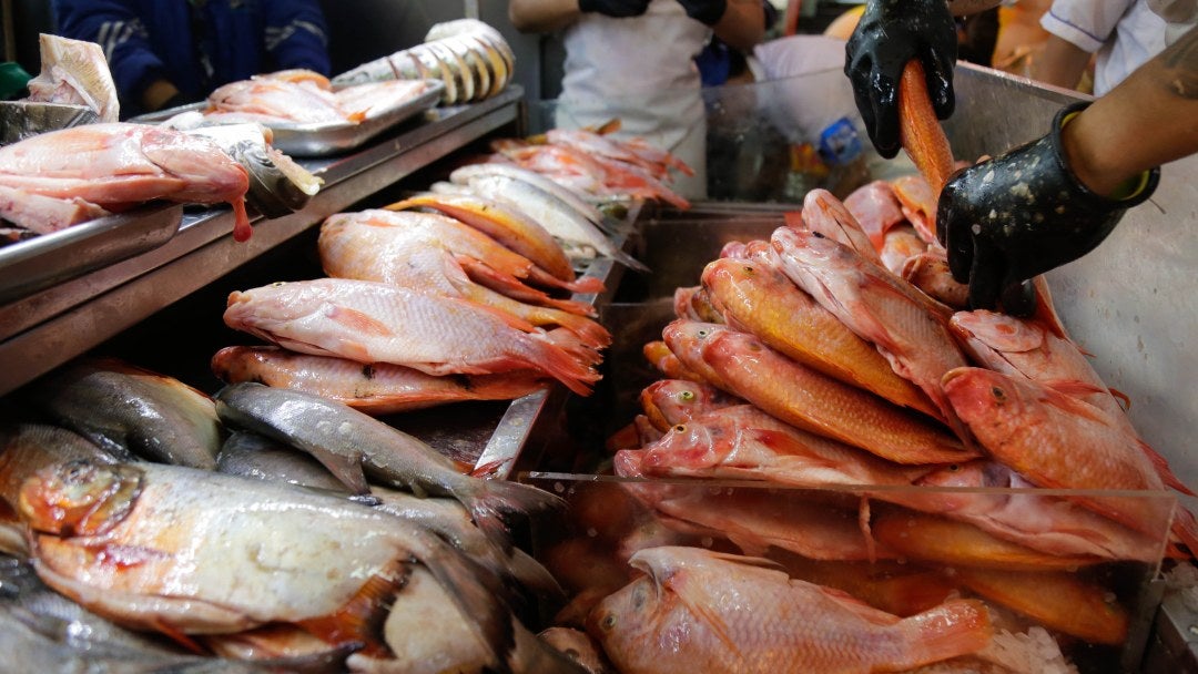 Pescado - Colprensa