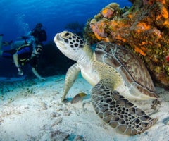 pexels-photo-7001709